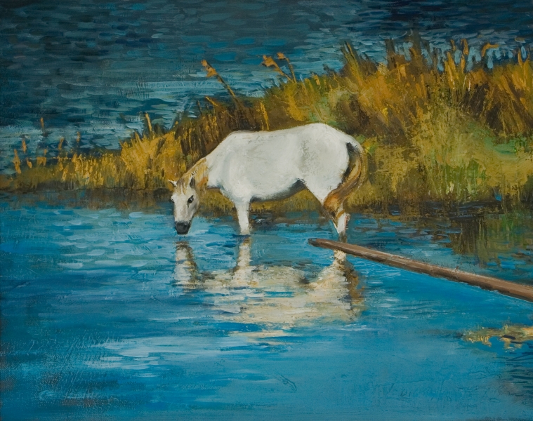 gal/fineart/Landscape/A white horse 20x16.jpg